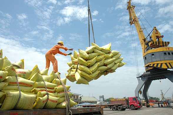 Xuất khẩu gạo tăng trở lại, thu về hơn 1 tỷ USD