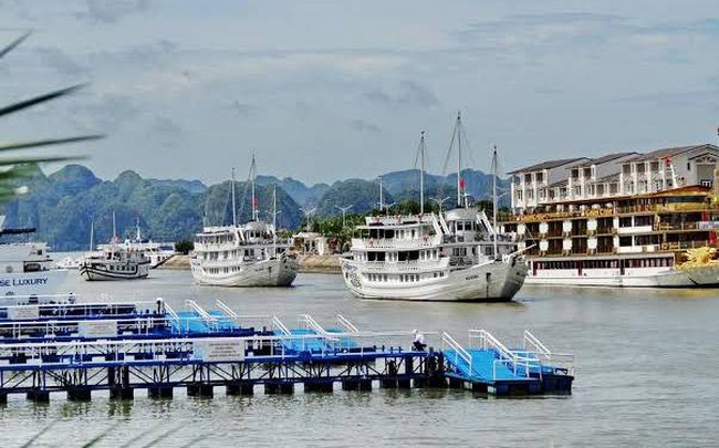 Quảng Ninh: Gần 250 chủ tàu du lịch đồng loạt xin giãn nợ do có nguy cơ phá sản