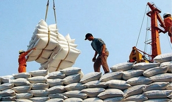 Bộ Công thương "thanh tra" 5 doanh nghiệp xuất nhập khẩu gạo do nhập khẩu gạo tăng đột biến