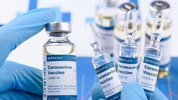 Đề xuất hợp tác công - tư trong tìm kiếm, mua và tổ chức tiêm vaccine COVID-19