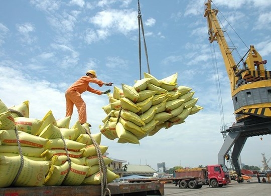 Kiến nghị cho doanh nghiệp lúa gạo được thế chấp vay vốn bằng chính sản phẩm thu mua