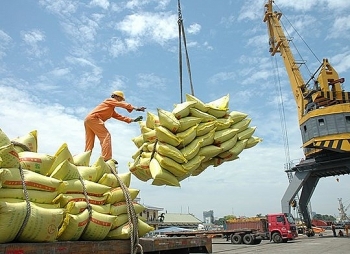Kiến nghị cho doanh nghiệp lúa gạo được thế chấp vay vốn bằng chính sản phẩm thu mua