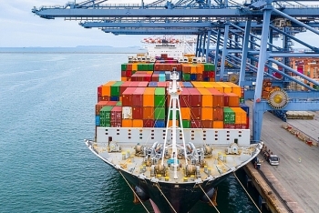 Giá trị xuất nhập khẩu hàng hóa Việt Nam sụt giảm trong nửa đầu tháng 8