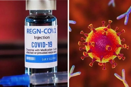 Thuốc kháng thể đơn dòng dạng tiêm REGN-COV2 của Regeneron. Ảnh: Internet