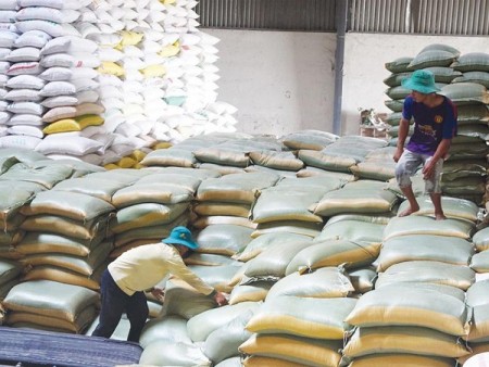 Bộ Tài chính đề xuất thu mua gạo tại 9 tỉnh phía Nam để cấp cho các tỉnh chống dịch