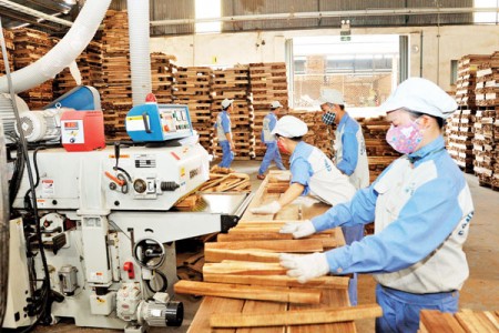 Dịch bệnh khiến 50% doanh nghiệp ngành gỗ đứng trước nguy cơ phá sản