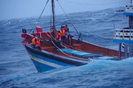 Quảng Ngãi: Cứu hộ thành công 13 thuyền viên gặp sự cố trên đường tránh bão