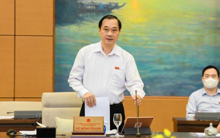 Chủ nhiệm Ủy ban Kinh tế của Quốc hội Vũ Hồng Thanh phát biểu tại phiên họp. Ảnh: Quochoi.vn