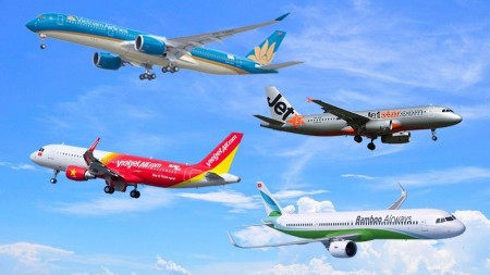 Cục Hàng không đề xuất kế hoạch hồi phục hoạt động vận tải hàng không nội địa