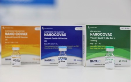 Phó Thủ tướng Vũ Đức Đam yêu cầu sớm hoàn thiện, bổ sung hồ sơ để xem xét cấp phép khẩn cấp vaccine Nanocovax.