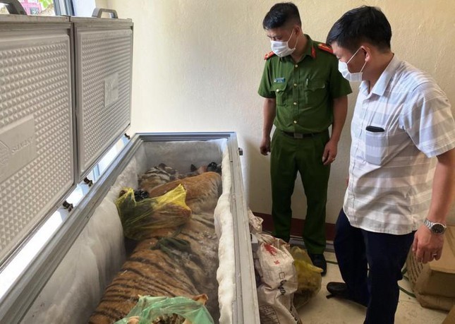 Hà Tĩnh: Khởi tố vụ án xác hổ 160kg trong tủ đông của nhà dân