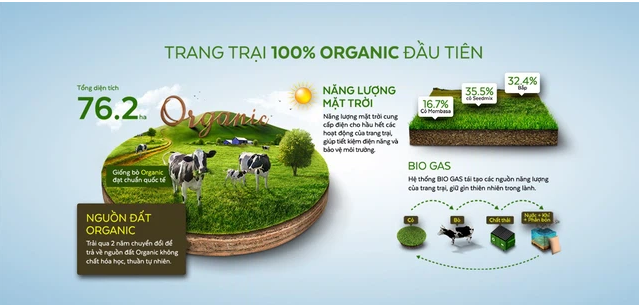 Từ đồng cỏ đến trang trại và nhà máy chế biến sữa đều phải đạt chứng nhận đánh giá Organic