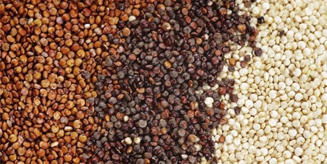 Có hơn 100 loại hạt quinoa trên thế giới, nhưng phổ biến nhất là hạt quinoa đỏ, đen và trắng.