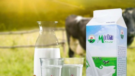 Mộc Châu Milk: Quá trình phát triển của thương hiệu sữa nội địa lâu đời nhất Việt Nam