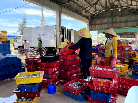 Hoạt động mua bán hải sản ở cảng Tịnh Kỳ(TP Quảng Ngãi).