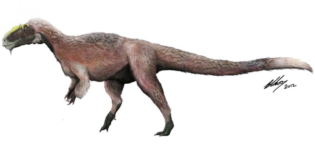 Yutyrannus, trong hình minh họa này, là loài khủng long có lông lớn nhất được phát hiện cho đến nay. lịch sự Brian Choo