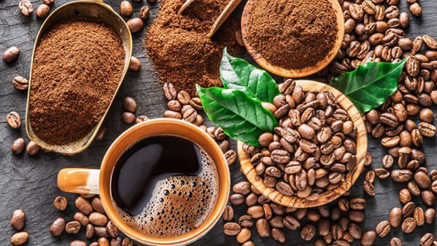 Giá cà phê hôm nay 24/9 thu mua trong khoảng 39.600 - 40.500 đồng/kg.