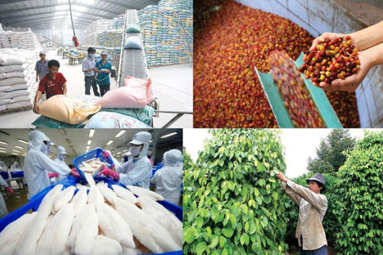 Các bộ, cơ quan liên quan hướng dẫn, hỗ trợ các địa phương, doanh nghiệp nhanh chóng khôi phục chuỗi cung ứng xuất khẩu nông, lâm, thủy sản.