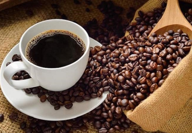 Giá cà phê hôm nay 26/9 thu mua trong khoảng 39.800 - 40.700 đồng/kg.