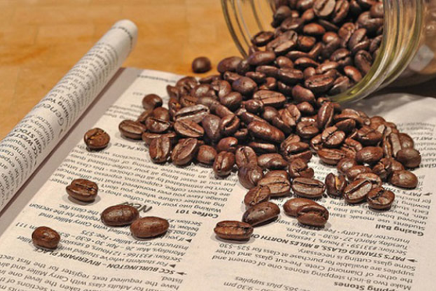 Giá cà phê hôm nay 30/9 thu mua trong khoảng 39.300 - 40.200 đồng/kg.