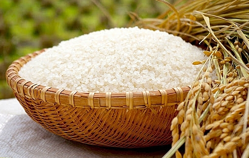 Giá thực phẩm ngày 21/1: Lúa gạo, rau củ quả duy trì ổn định