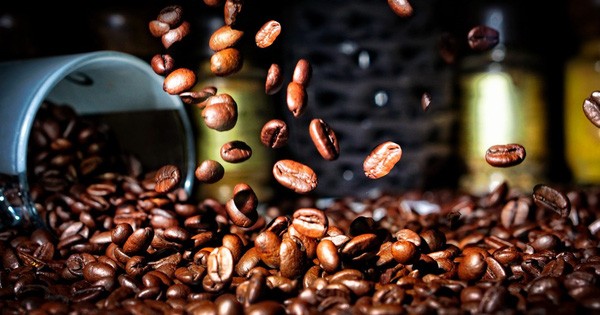 Giá cà phê và hồ tiêu ngày 16/3: Cà phê tăng nhẹ, hồ tiêu chững lại