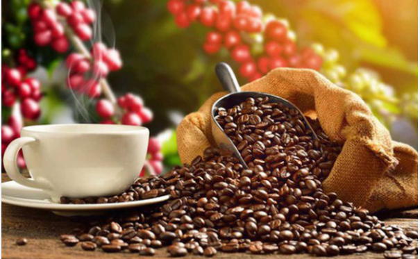 Algeria là thị trường còn nhiều dư địa cho cà phê Việt Nam và trong tương lai gần đây cũng là mặt hàng xuất khẩu số 1 vào thị trường này.