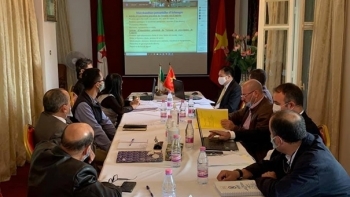 Tăng cường x&uacute;c tiến thương mại, đầu tư Việt Nam-Algeria