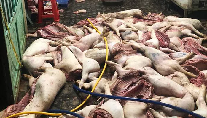 Đồng Nai: Kịp thời ngăn chặn hơn 1 tấn thịt lợn bẩn ra thị trường