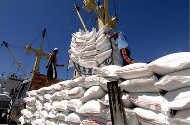 Xuất khẩu gạo sang EU tăng mạnh nhờ Hiệp định EVFTA