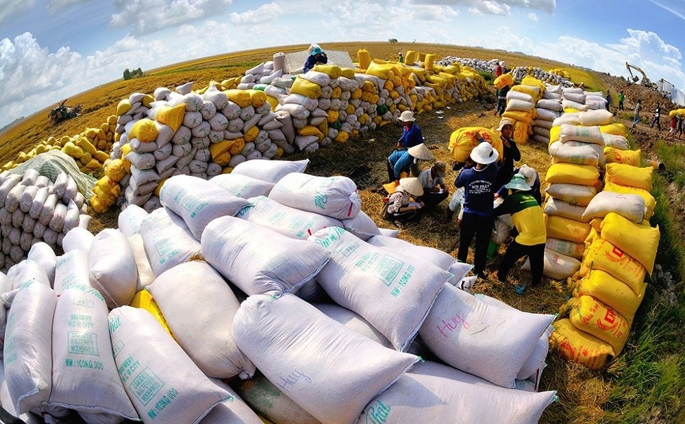 Xuất khẩu gạo đạt 1,56 tỷ USD, tăng 54,5% trong 4 tháng đầu năm 2023
