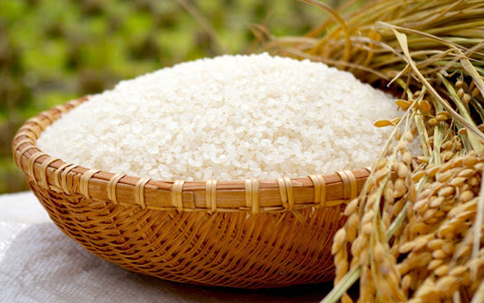 Xuất khẩu gạo đạt 1,56 tỷ USD, tăng 54,5% trong 4 tháng đầu năm 2023