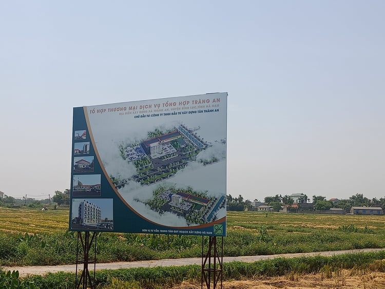 Phối cảnh Teelhome Tràng An được CĐT cắm tại khu đất dự án.