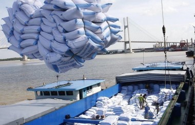 Giá gạo châu Á lập đỉnh do nhiều nước mua tích trữ vì hiện tượng El Nino
