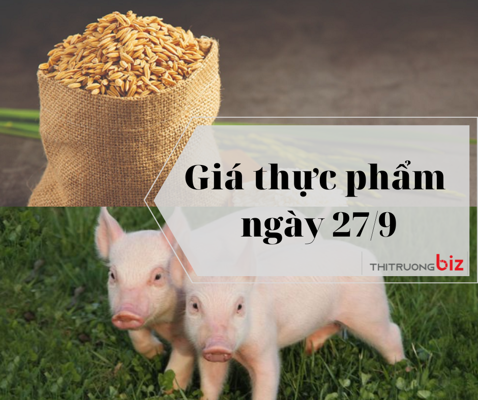Giá thực phẩm hôm nay ngày 27/9: Lúa gạo và thịt lợn hơi duy trì ổn định