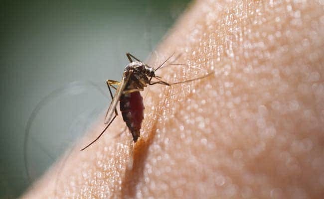 Thời tiết mưa nhiều hơn dẫn đến sự gia tăng số lượng muỗi ở một số khu vực. Điều này góp phần gia tăng các ca bệnh sốt xuất huyết.