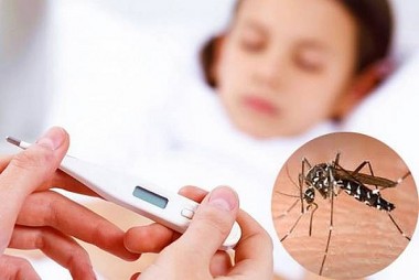6 điều được Bộ Y tế khuyến cáo để phòng chống sốt xuất huyết