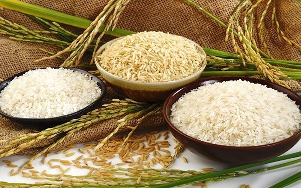 giá gạo nguyên liệu, thành phẩm duy trì ổn định. Hiện giá gạo nguyên liệu đang được thương lái thu mua ở mức 9.000 đồng/kg, gạo thành phẩm 9.600 đồng/kg