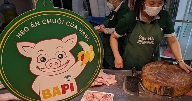 Hoàng Anh Gia Lai ra mắt thương hiệu BAPI Food