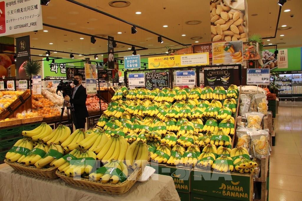 Nhật Bản nhập khẩu trái chuối từ Việt Nam đạt 5.700 tấn, trị giá 687,9 triệu yen