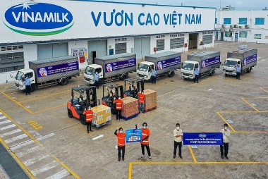 Vinamilk 6 lần liên tiếp được vinh danh trong Top 10 doanh nghiệp phát triển bền vững nhất Việt Nam