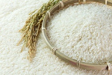 Thị trường gạo Châu Á: Giá gạo Việt Nam xuống đáy hơn 3 tháng
