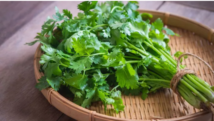 EU tăng tần suất kiểm tra thực tế một số mặt hàng rau quả nhập khẩu từ Việt Nam, với rau mùi là 50%.
