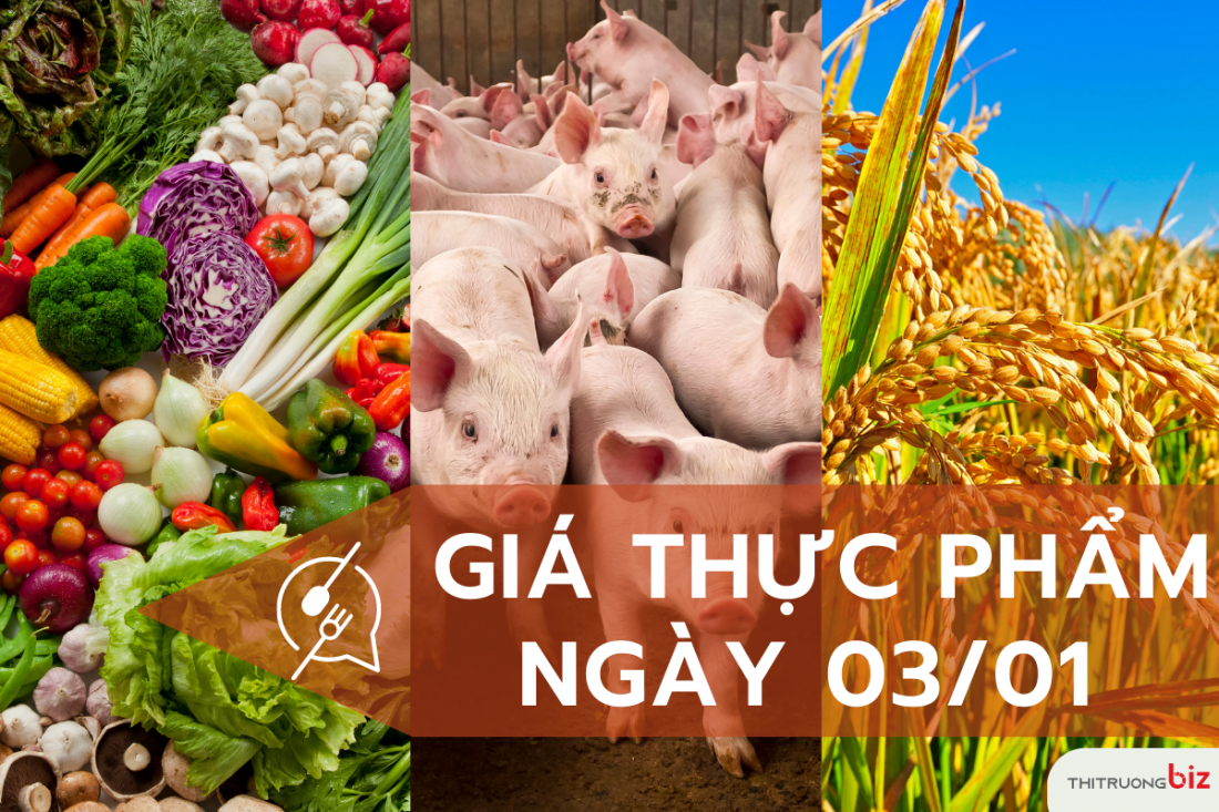 Giá thực phẩm 03/01: Giá lợn hơi duy trì ổn định trong khoảng 50.000 - 54.000 đồng/kg,
