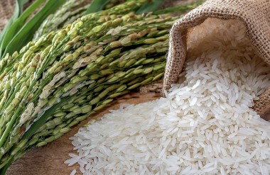 Giá thực phẩm hôm nay 23/11: Giá lợn hơi tăng tại khu vực miền Bắc và Nam, lúa gạo ổn định