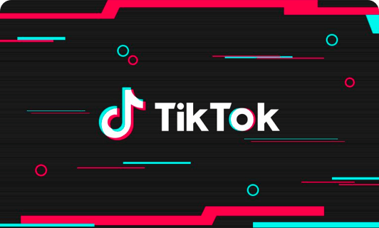 Nhiều bang tại Mỹ cấm ứng dụng TikTok