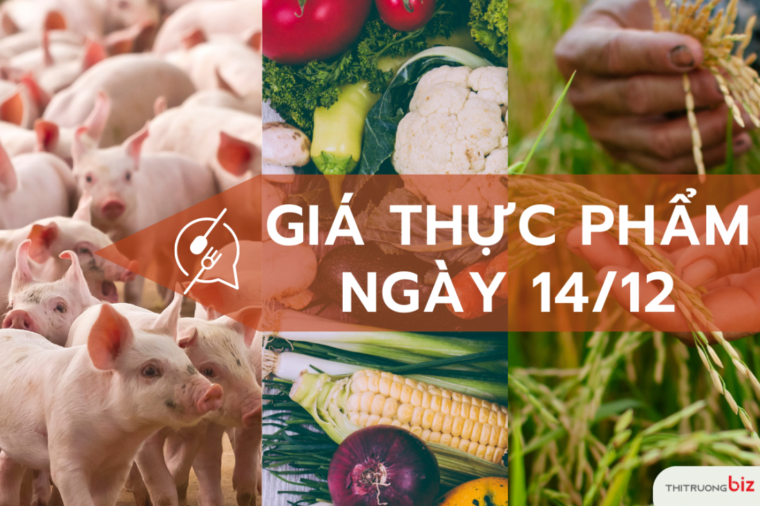 Giá thực phẩm hôm nay 14/12: Giá lợn hơi tăng/giảm 1.000 đồng tại khu vực miền Bắc và miền Nam, giá rau tăng mạnh