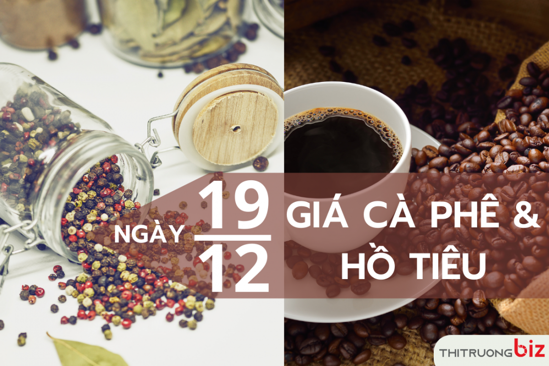 Giá cà phê và hồ tiêu hôm nay 19/12: Cà phê trong nước cao nhất 40.900 đồng/kg, hồ tiêu đi ngang