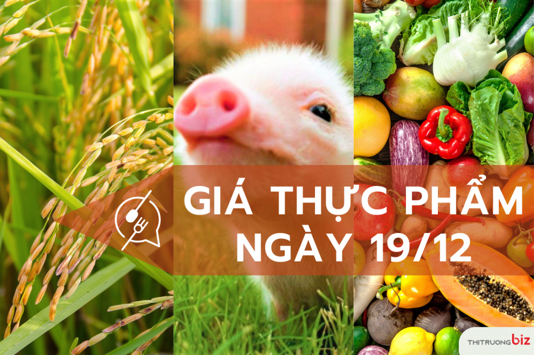 Giá thực phẩm hôm nay 19/12: Giá lợn hơi đi ngang diện rộng, giá rau củ quả vẫn tăng cao