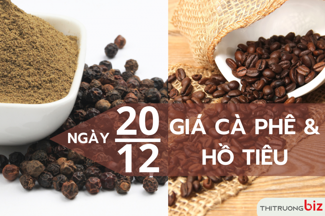 Giá cà phê và hồ tiêu hôm nay 20/12: Cà phê đi ngang, giá tiêu giảm 500 đồng/kg tại Đông Nam bộ